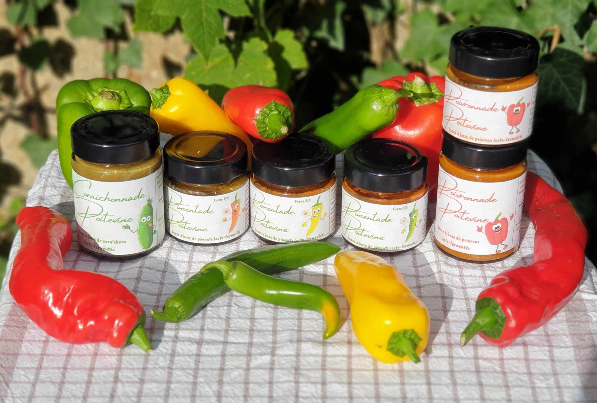 gamme complete cornichonnade pimentade poivronnade fermentades poitevines
